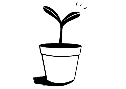 plant growing illustration